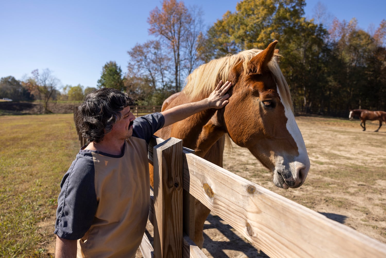 aajc 110625 anx cobb so equine