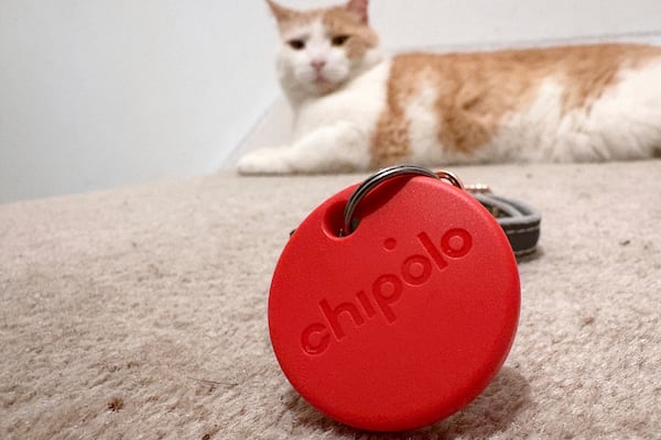 A Chipolo Bluetooth tracker is displayed while a cat rests in the background in London, Thursday, May 29, 2025.(AP Photo/Kelvin Chan)