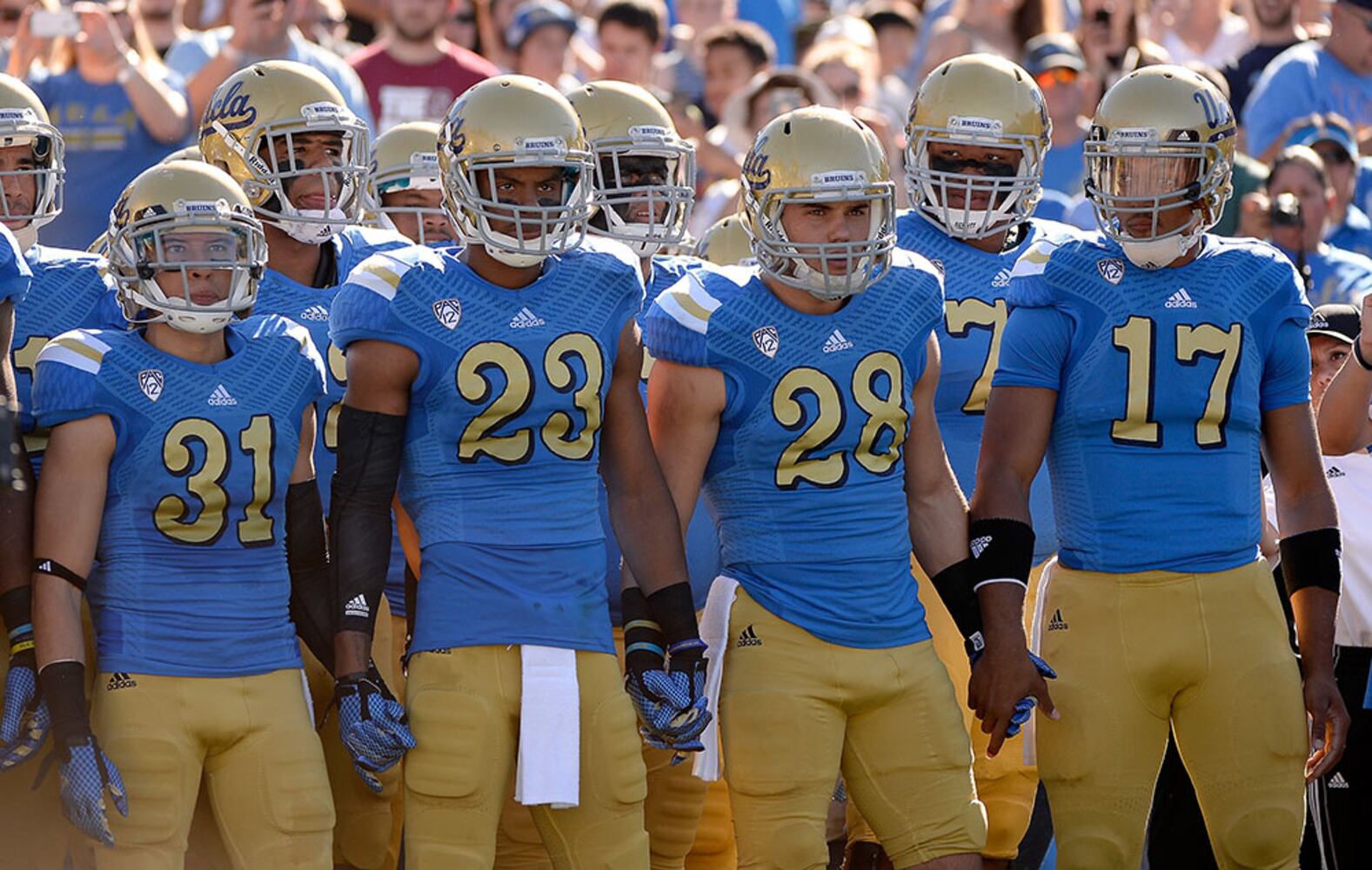 UCLA Bruins