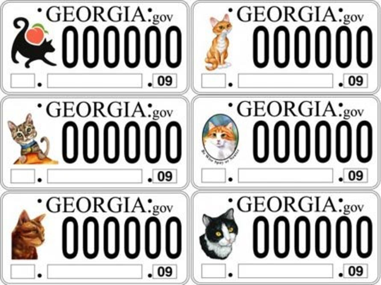 New cat tag