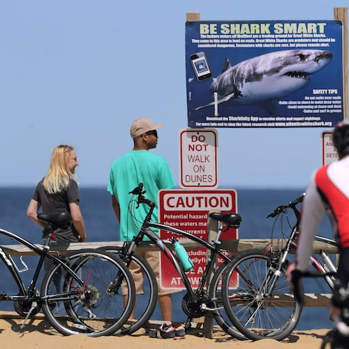 FILE - A sign warns beachgoers about sharks at Lecount Hollow Beach May 22, 2019 in Wellfleet, Mass. (AP Photo/Charles Krupa, File)