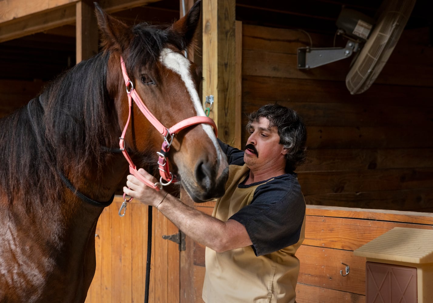 aajc 110625 anx cobb so equine