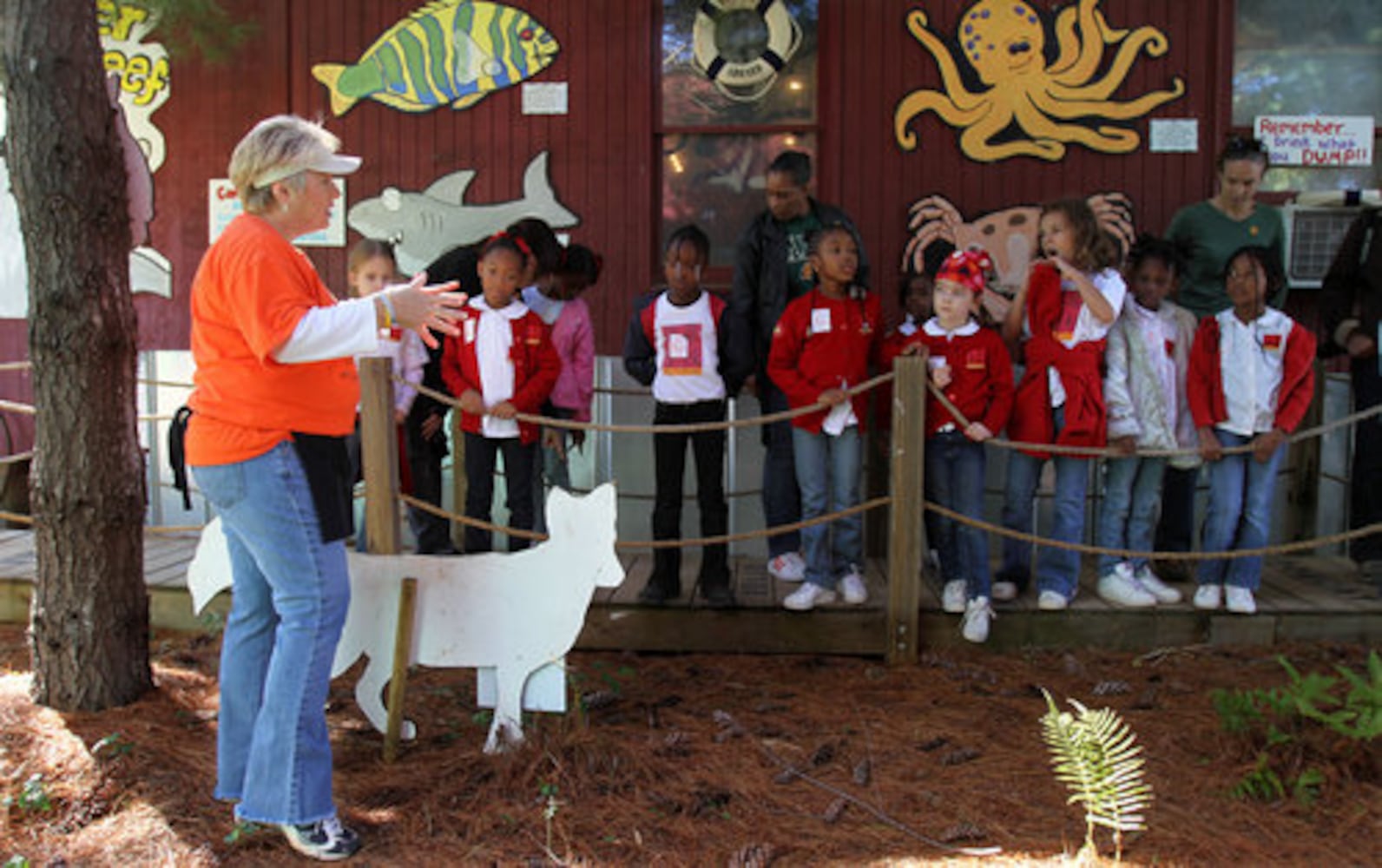 Yule Forest Pumpkin Patch