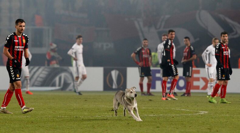 A dog runs onto the pitch during the Europa League group L soccer match between Vardar and Rosenborg, at Philip II Arena in Skopje, Macedonia, Thursday Dec. 7, 2017. (AP Photo/Boris Grdanoski)