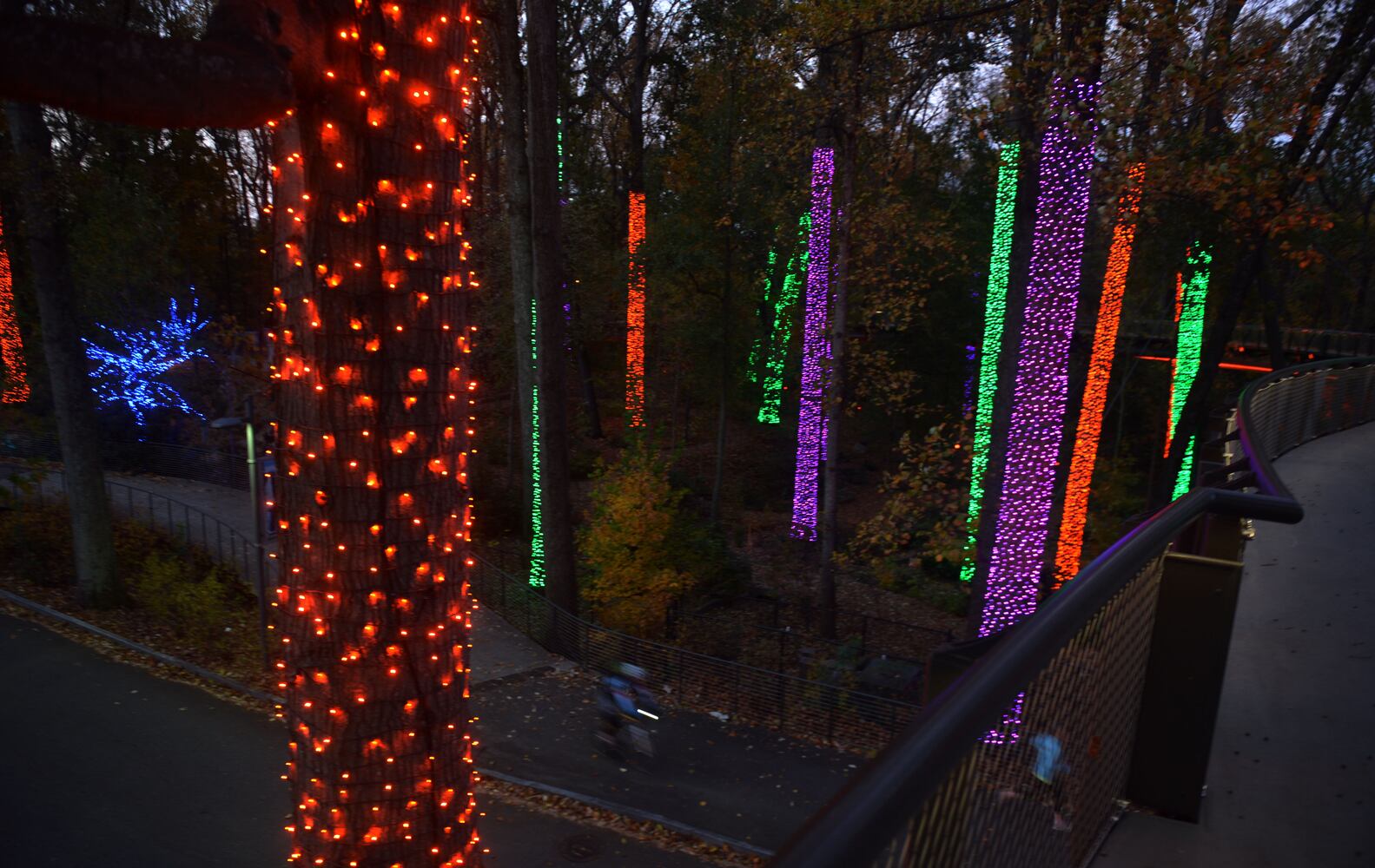Garden Lights