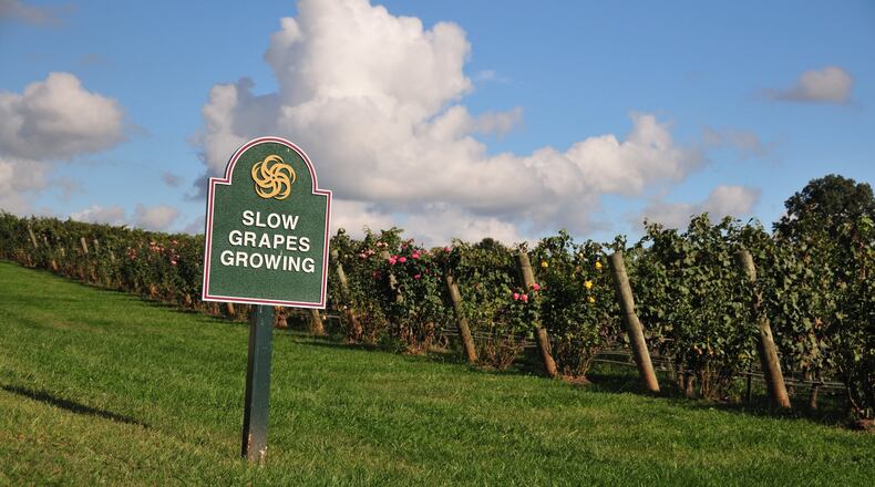 A new Smyrna law on wineries will allow the licensing of wineries to join breweries, each requiring a $1,700 license. AJC file photo