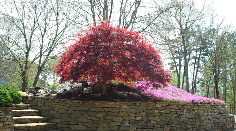 Joe Washington’s garden will be featured in the Master Gardener Volunteers of Cobb County 16th Annual Garden Tour on May 12. CONTRIBUTED BY Master Gardener Volunteers of Cobb County
