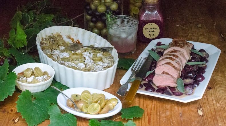 Scuppernongs and muscadines are celebrated in a quartet of recipes featuring the Southern grapes: (clockwise, from left) Muscadine Clafoutis, Muscadine Shrub, Pork Tenderloin with Muscadines, and Pickled Muscadines. (Virginia Willis for The Atlanta Journal-Constitution)