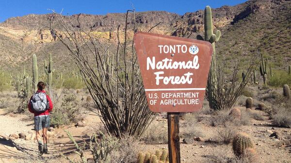 At 2.9 million acres, Tonto National Forest is the largest national forest in Arizona. (Craig Hill/The News Tribune/TNS)