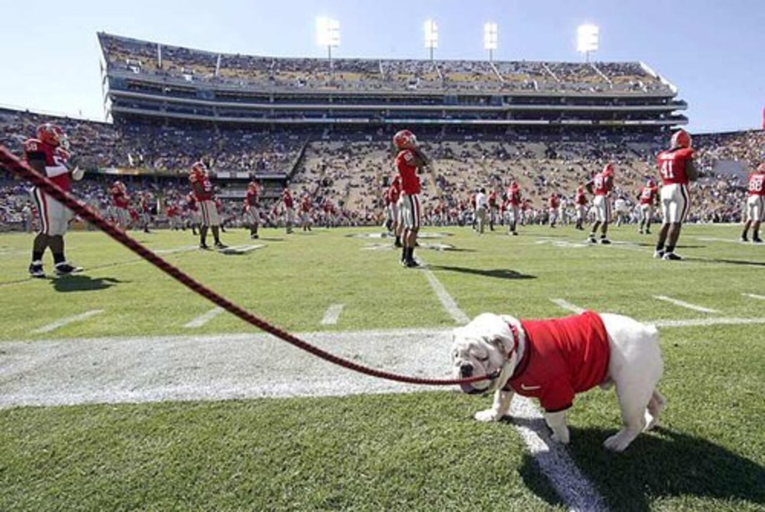 Georgia vs. LSU