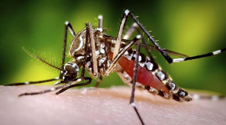 Hiram in Paulding County is fogging city streets between 5 a.m. and 7 a.m. on Mondays and Thursdays to reduce the mosquito population. AJC file photo