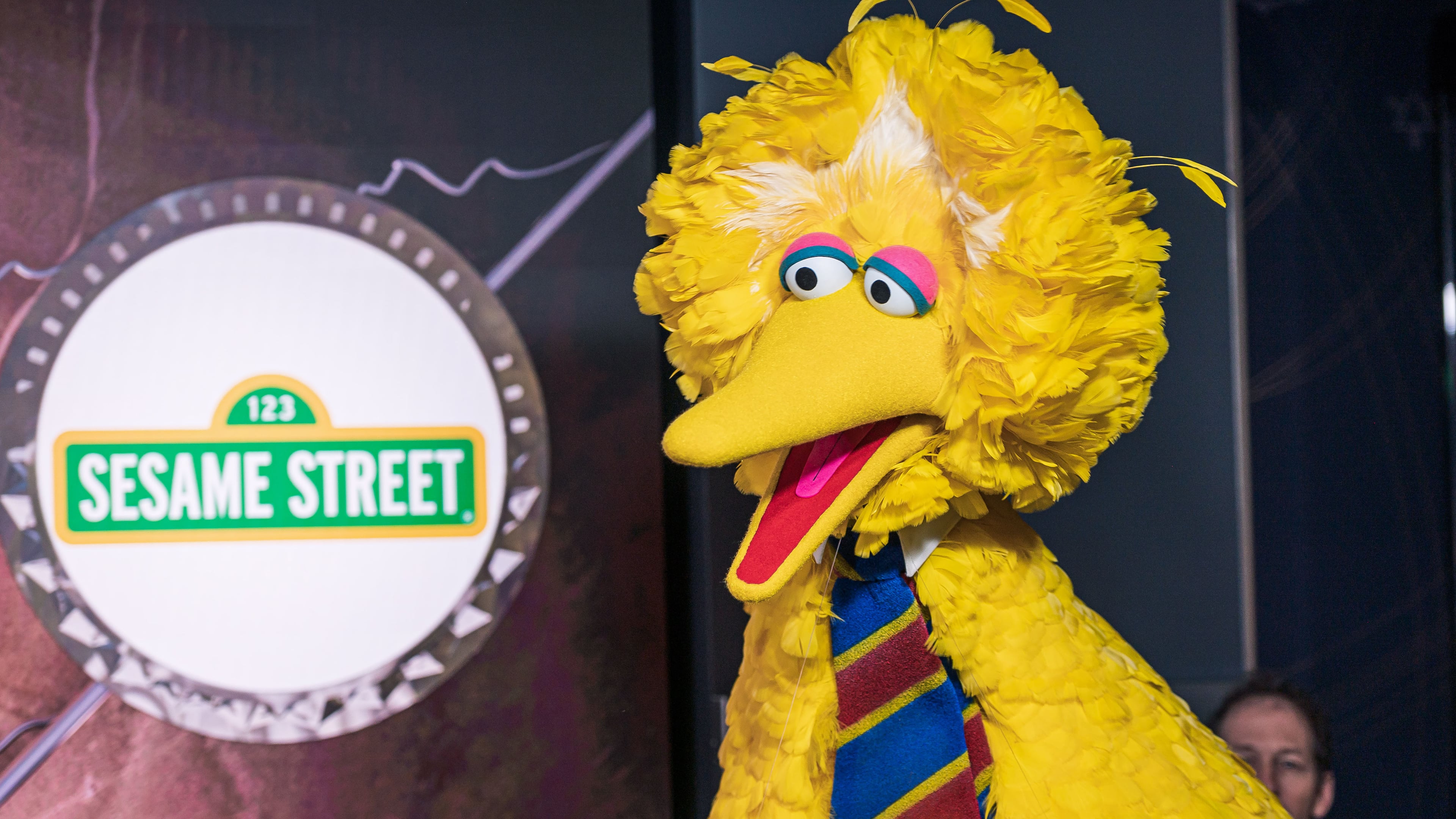 Big Bird makes an appearance during a lighting ceremony for the 50th anniversary of "Sesame Street" at the Empire State Building in New York. (Albin Lohr-Jones/Sipa USA)