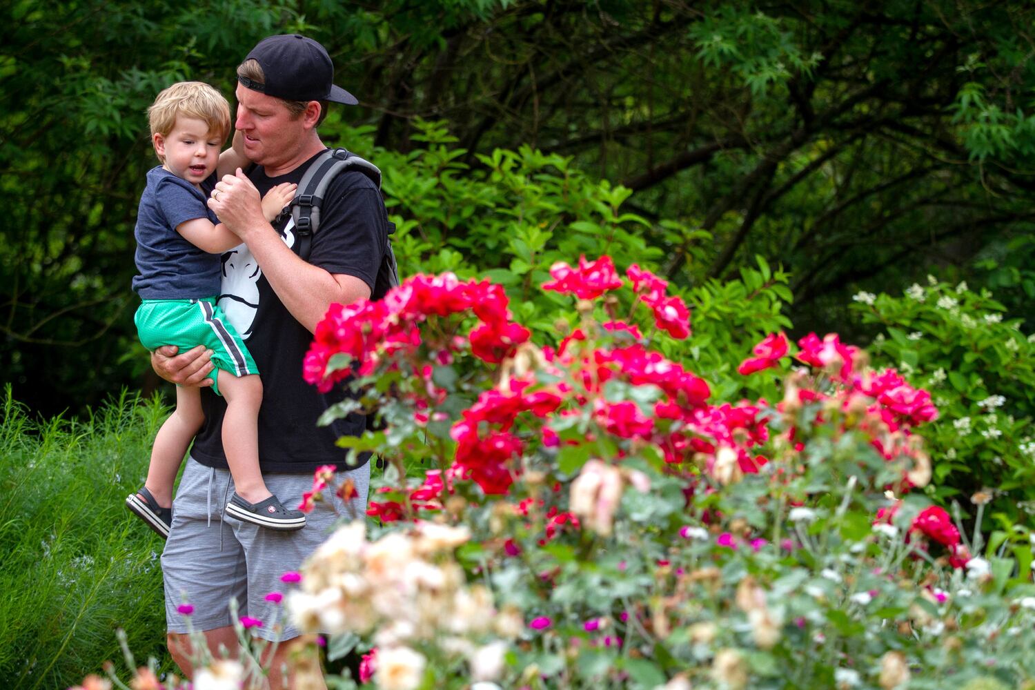 PHOTOS: Reopening of Atlanta Botanical Garden