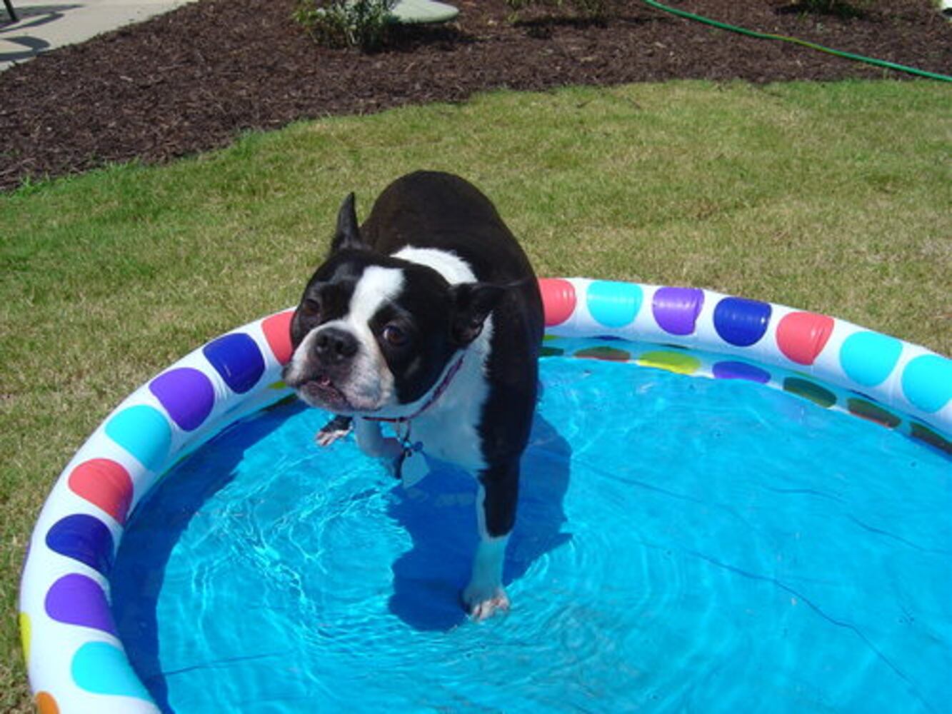 Happy Monday! Atlanta's Smiling Pets