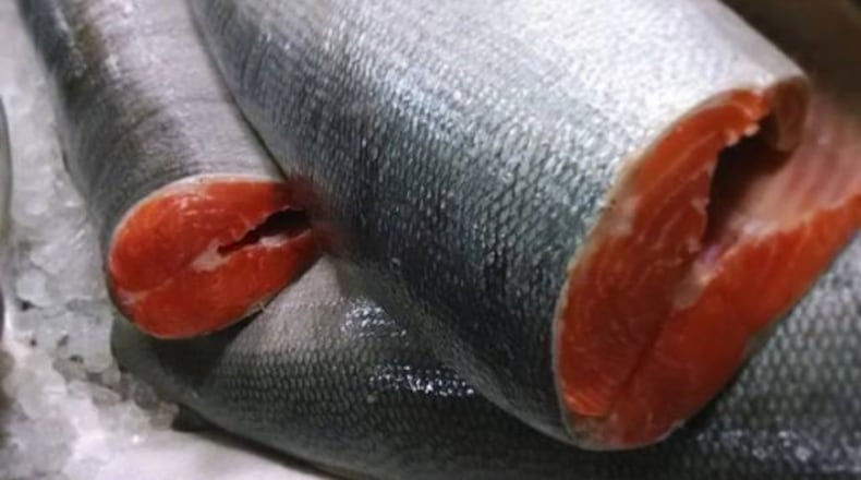 wild Northwest salmon has arrived at Lure.