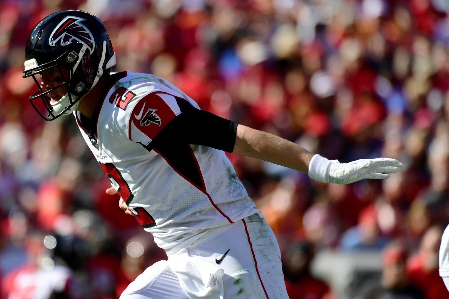 falcons