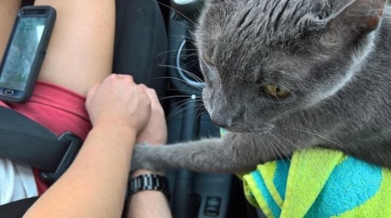 Photo credit: abernha3/Reddit