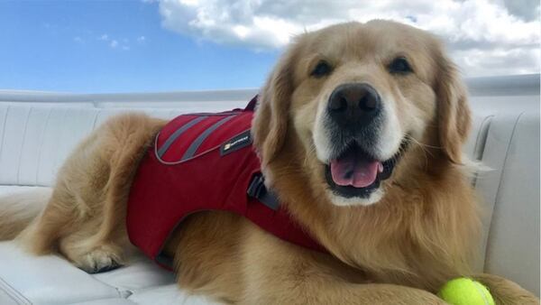 WeatherTech's CEO bought a $6 million Super Bowl ad to thank vets who saved a dog’s life. The company has bought ads for Super Bowl 55. (AJC file photo)