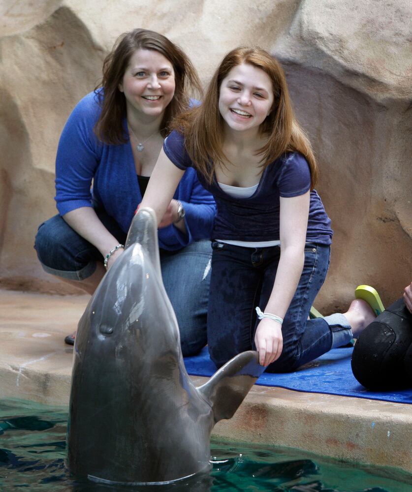 Atlanta animal encounters