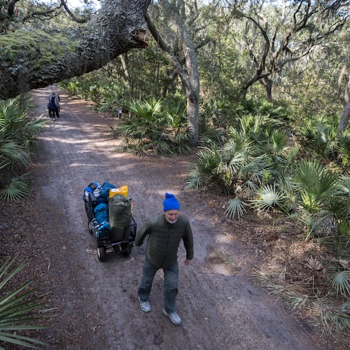 Visitors to Cumberland Island's Sea Camp campground pull carts full of gear for a three-night trip. The National Park Service has approved a change to its visitor use plan that expands access to the isiand. (Stephen B. Morton for the AJC 2022)