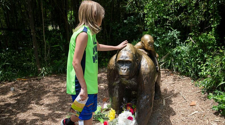 A child touches the head of a gorilla statue where flowers have been placed outside the Gorilla World exhibit at the Cincinnati Zoo & Botanical Garden, Sunday, May 29, 2016, in Cincinnati. On Saturday, a special zoo response team shot and killed Harambe, a 17-year-old gorilla, that grabbed and dragged a 4-year-old boy who fell into the gorilla exhibit moat. Authorities said the boy is expected to recover. He was taken to Cincinnati Children's Hospital Medical Center. (AP Photo/John Minchillo)