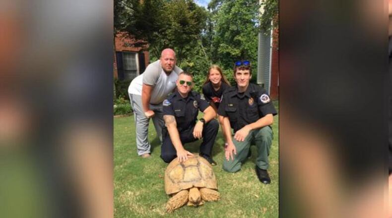 Tortoise found in Kennesaw (Credit: Kennesaw Police Department)
