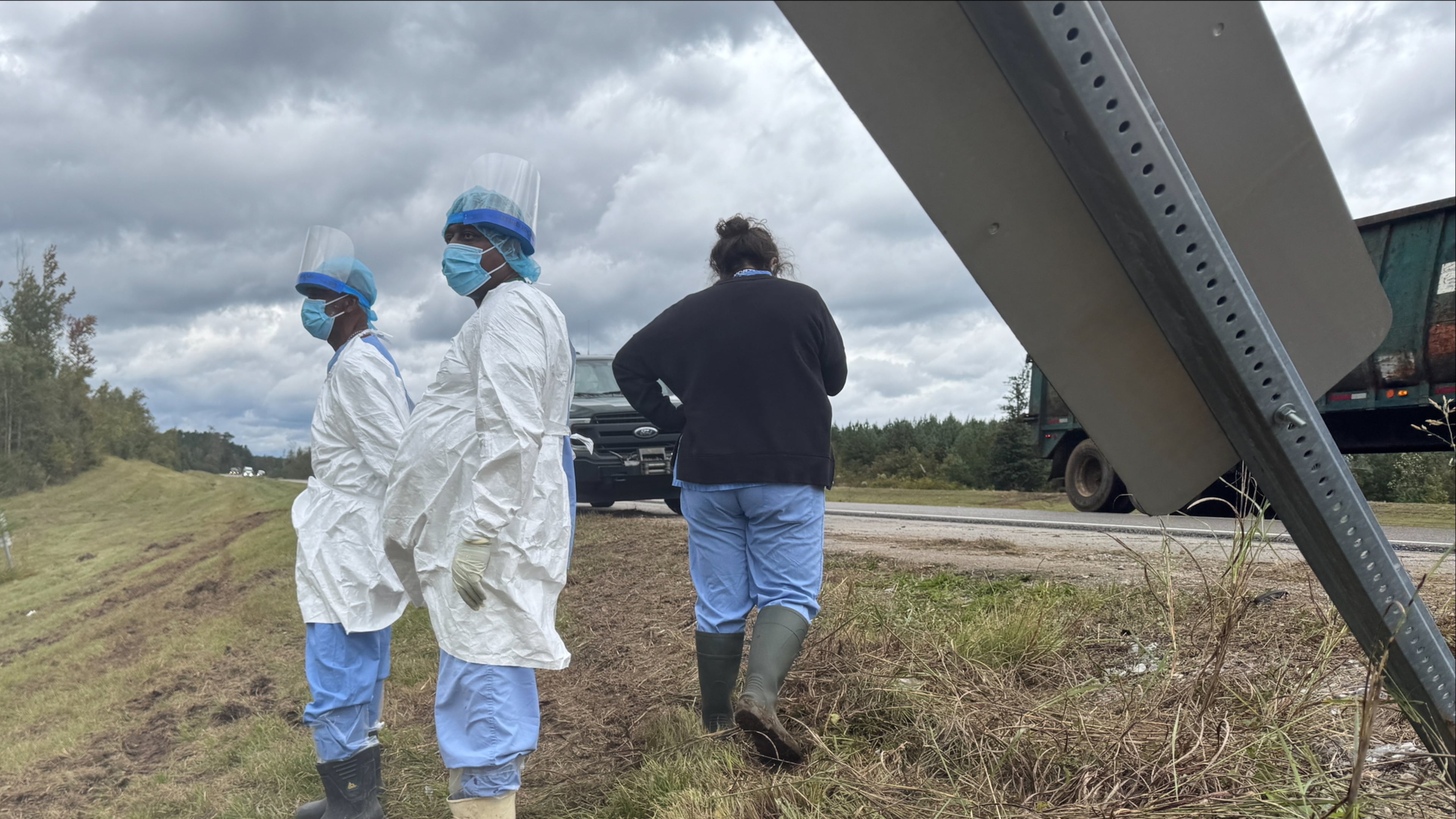 People wearing protective clothing search along a highway in Heidelberg, Miss., on Wednesday, Oct. 29, 2025, near the site of a truck which overturned Tuesday, that was carrying research monkeys. (AP Photo/Sophie Bates)