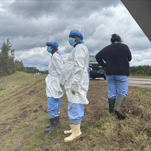 People wearing protective clothing search along a highway in Heidelberg, Miss., on Wednesday, Oct. 29, 2025, near the site of a truck which overturned Tuesday, that was carrying research monkeys. (AP Photo/Sophie Bates)
