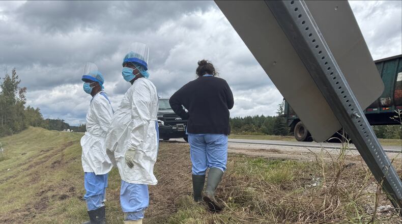 People wearing protective clothing search along a highway in Heidelberg, Miss., on Wednesday, Oct. 29, 2025, near the site of a truck which overturned Tuesday, that was carrying research monkeys. (AP Photo/Sophie Bates)