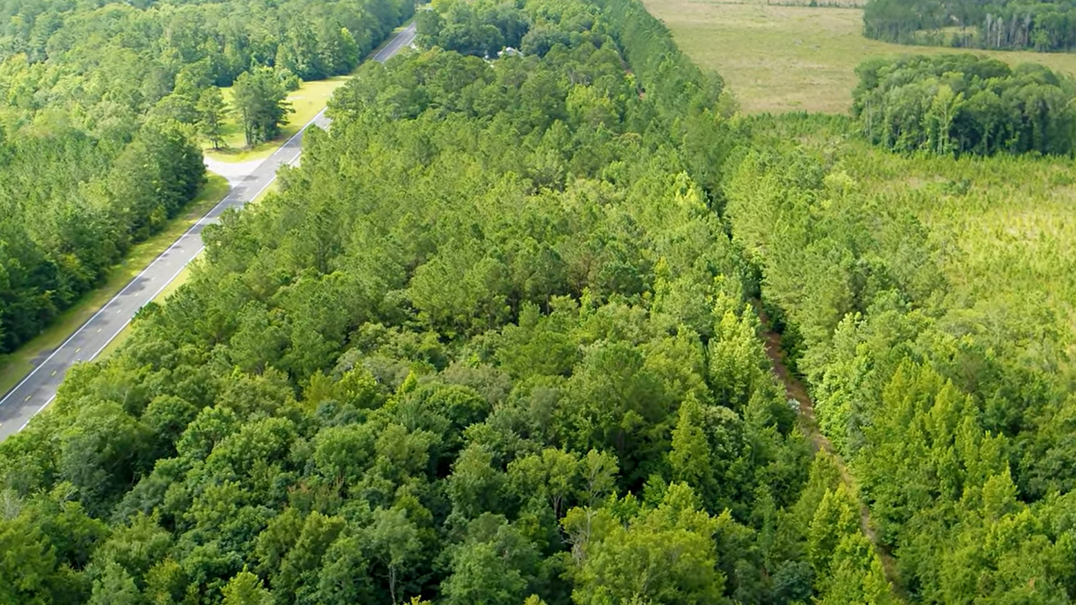 This is aerial footage advertising the Coastal Georgia Commerce Park in Camden County, a planned industrial park that received a state development grant in early 2026. (Courtesy of Camden County Joint Development Authority)