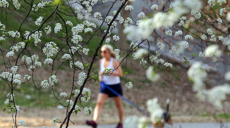 File photo of blooming trees in Piedmont Park.