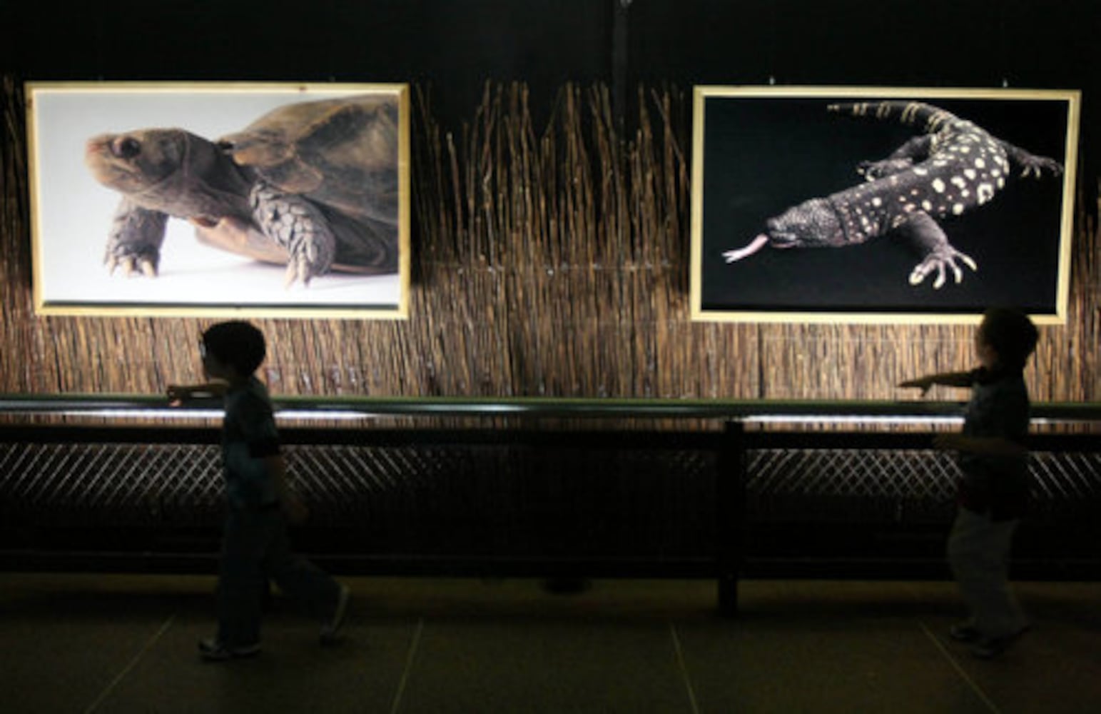 Zoo plans new reptile exhibit