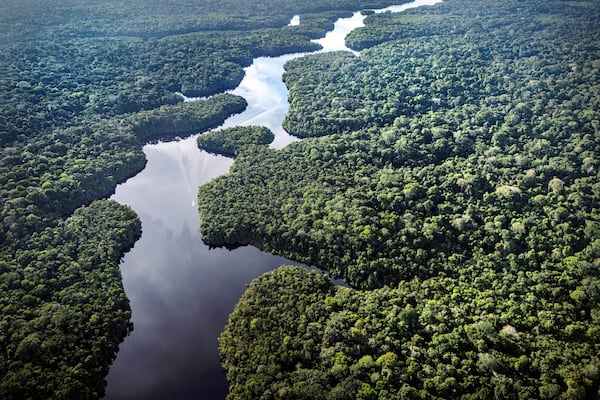 Curua River flows near the Esecaflor project, where scientists mimic drought to understand how the rainforest might respond to a drier future, in Caxiuana National Forest, Para state, Brazil, Saturday, March 22, 2025. (AP Photo/Jorge Saenz)