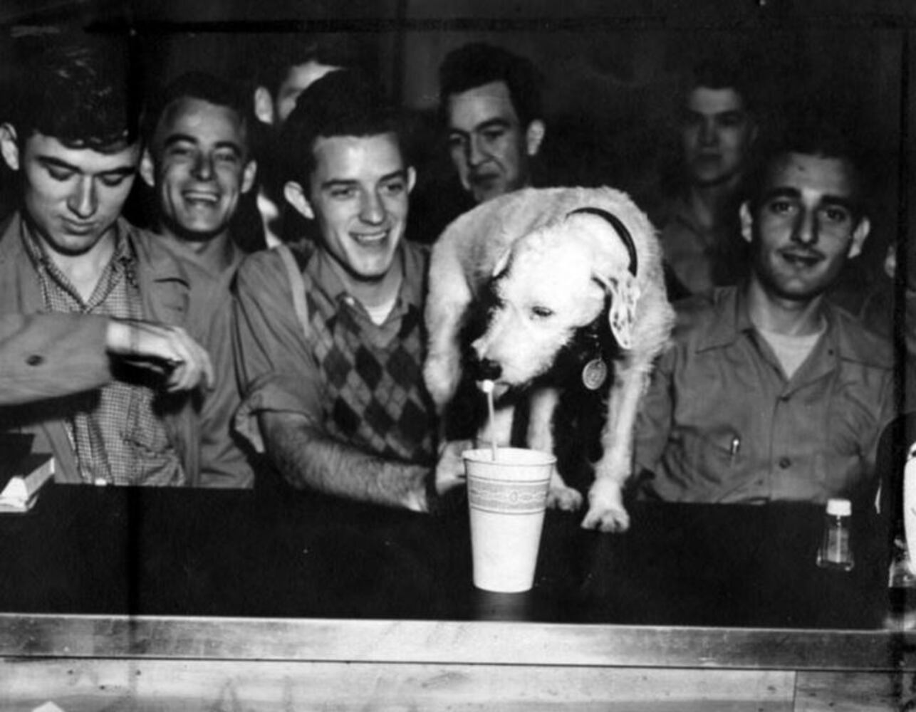 Flashback Photos: Sideways, the Sweetheart of Georgia Tech