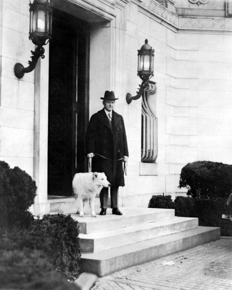 White House dogs, cats and more through the years.