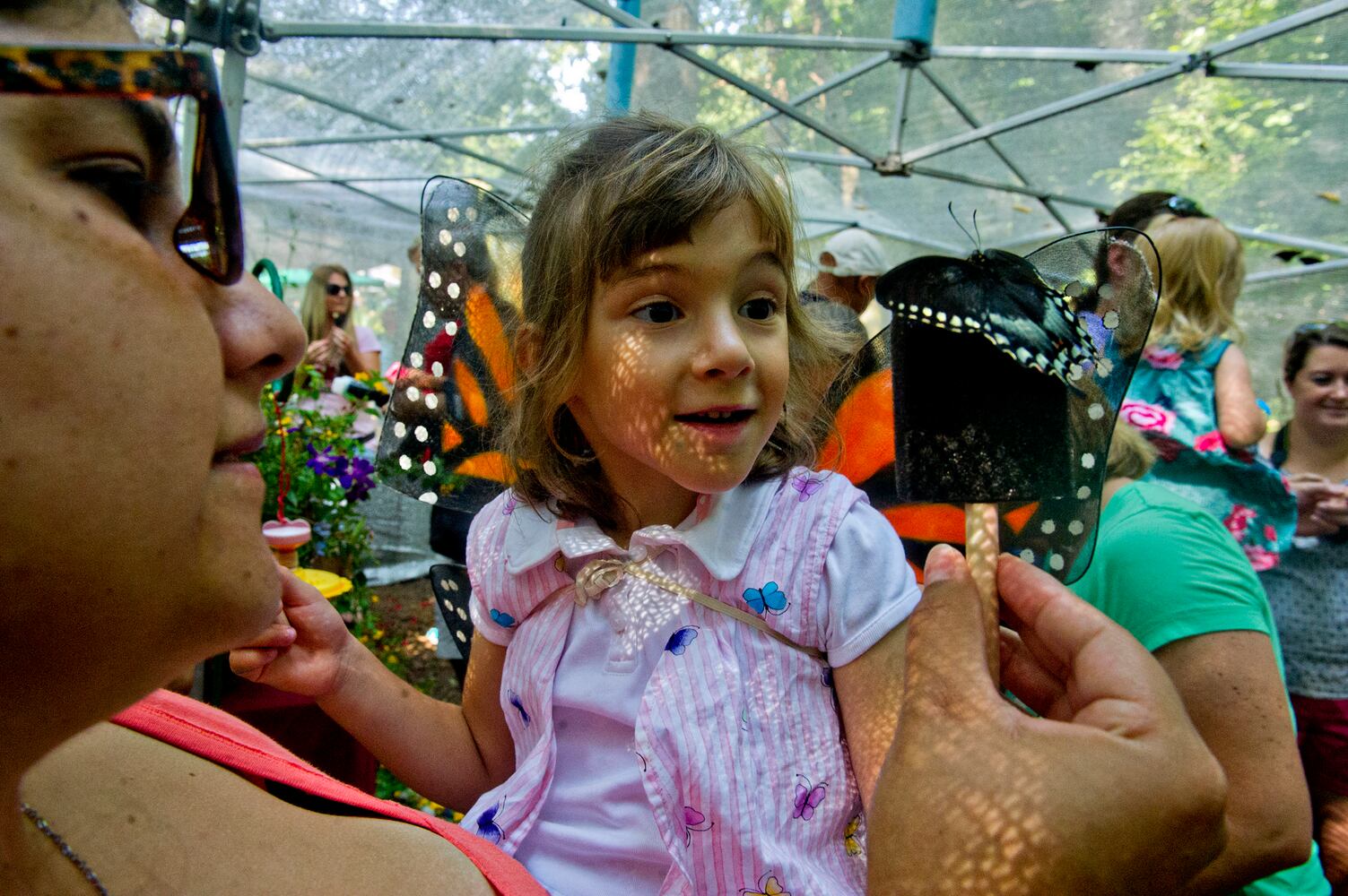 Butterfly Festival at Dunwoody Nature Center