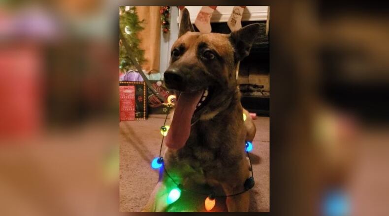 K9 Thorr was killed Thursday night.