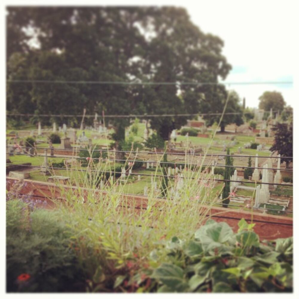 Instagrammers submit photos of #atlsummer #carnbike10 #homebrewbattle