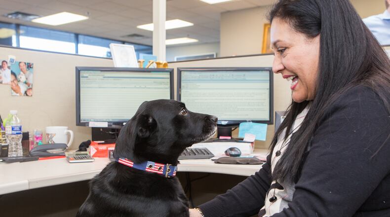 Karen Patterson takes a minute to play with Charlie the office dog at Supreme Lending in Alpharetta on January 31st, 2017. Supreme Lending is the small employer AJC Top Workplace winner. (Photo by Phil Skinner)