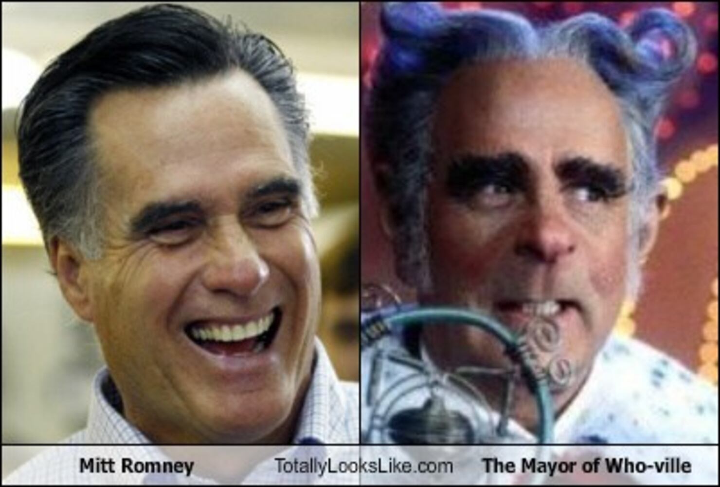 TotallyLooksLike.com