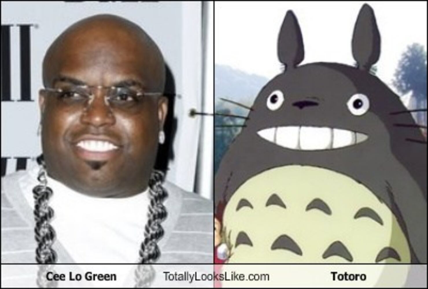 TotallyLooksLike.com
