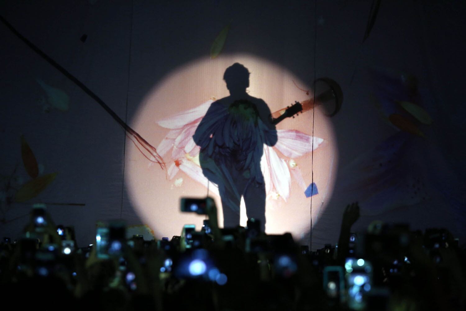 Harry Styles at the Roxy