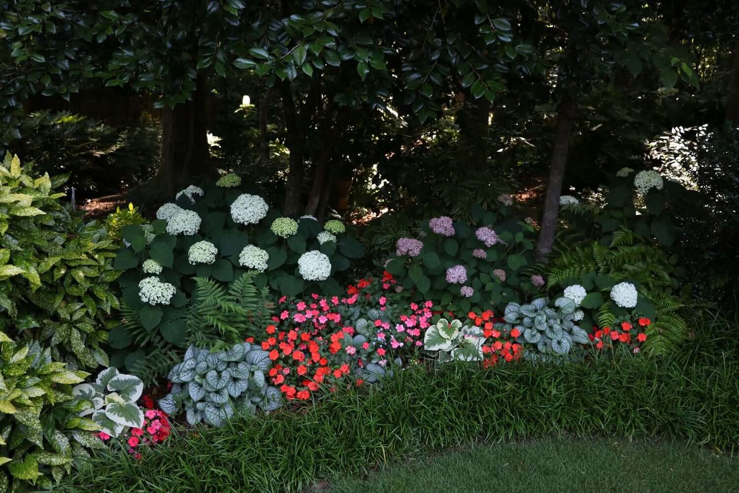 Photos: Best Gardens submitted by AJC readers