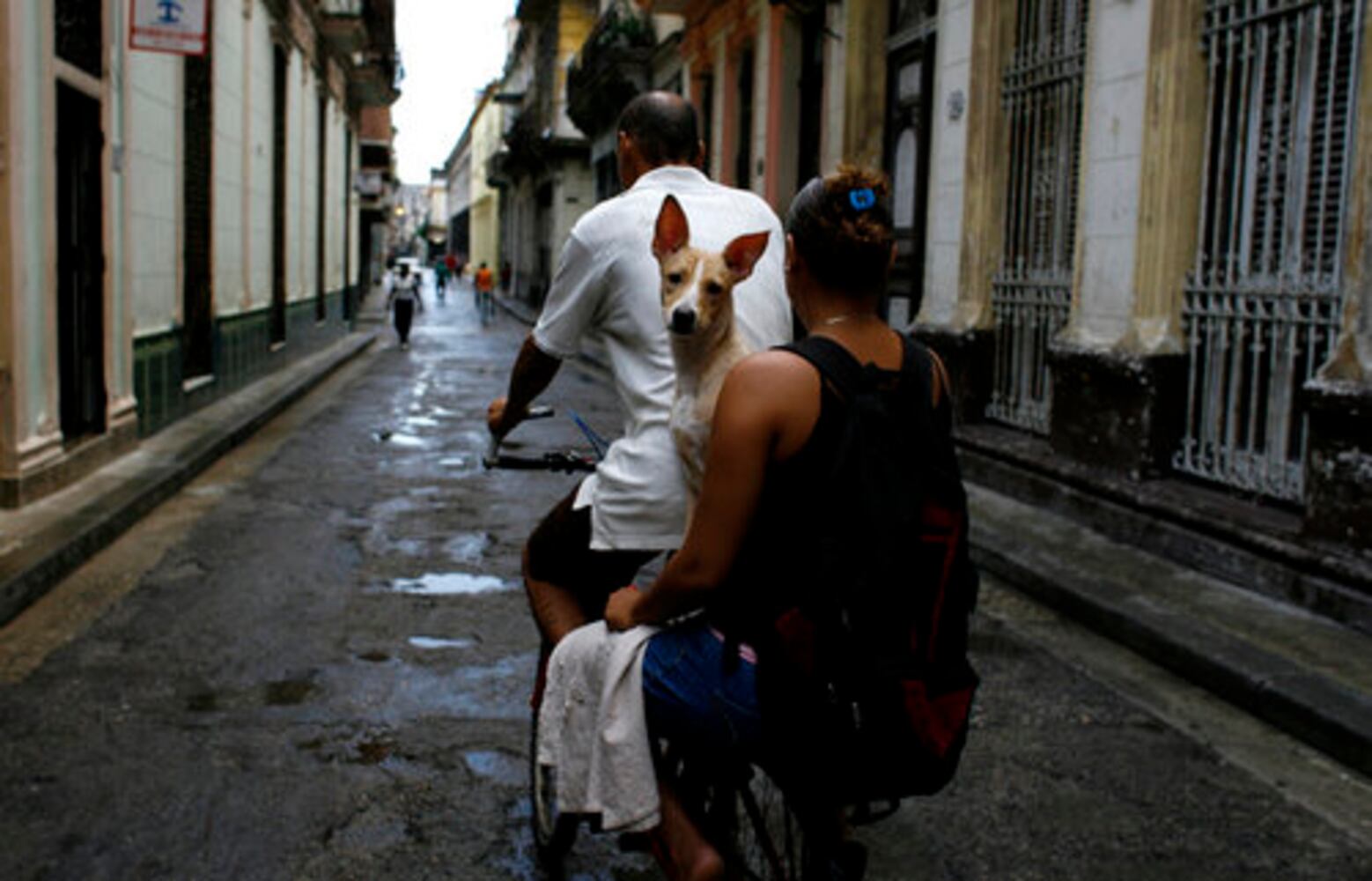 August 28, 2008: Today in Pictures