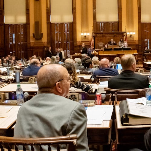 Floor level of the Georgia House Chamber with the backs of lawmakers