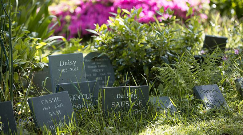 File photo.  (Photo by Matt Cardy/Getty Images)