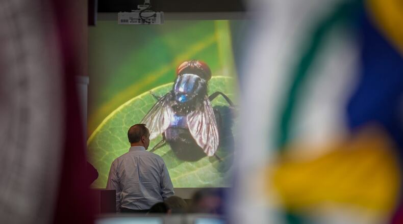 An official with Texas A&M AgriLife Extension works at the State Operations Center during Texas' response to the New World Screwworm in Austin, Texas on Friday, June 5, 2026. (Jay Janner/Austin American-Statesman via AP)