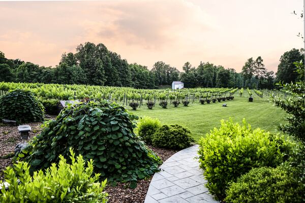 Natchez Hills Vineyard & Winery in Middle Tennessee produces Old World wines. 
Courtesy of Natchez Hills.