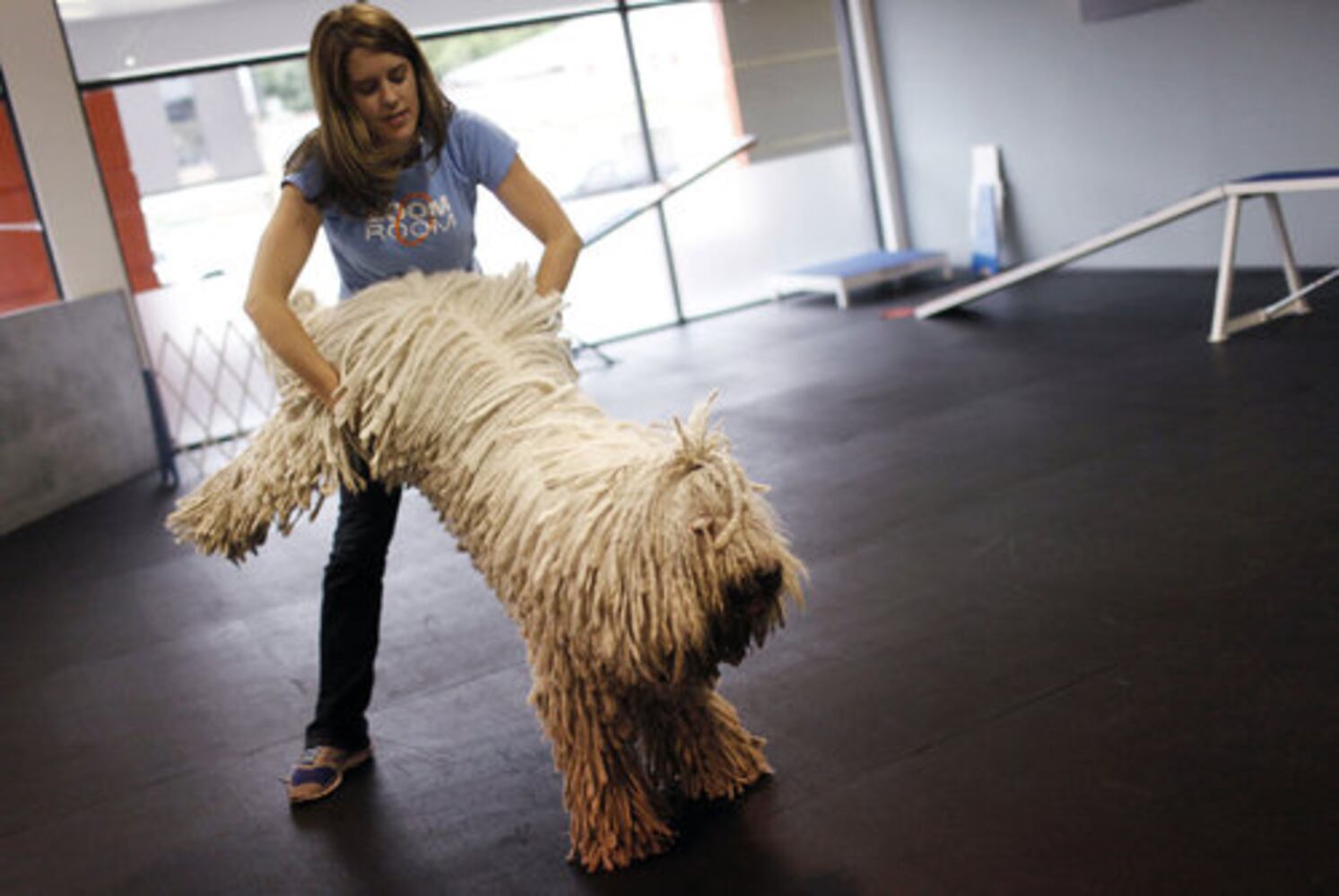 Teaching dogs Hollywood tricks