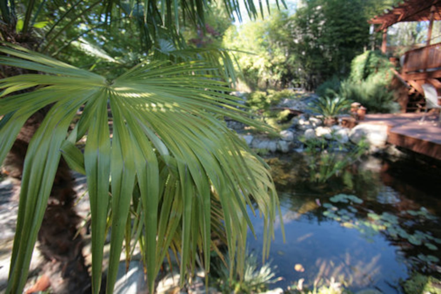 Amazing Space: Zen and the art of landscaping